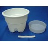 Bottom Water Supply Plastic Pot No. 6 with Translucent Saucer,