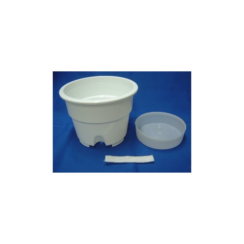 Bottom Water Supply Plastic Pot No. 6 with Translucent Saucer,