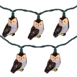 Northlight Owl Indoor Outdoor Patio Light Set - 6' - Green Wire - 10ct