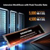 Gigastone HPC Computing M.2 SSD 1TB (2-Pack) PCIe 4.0 NVMe