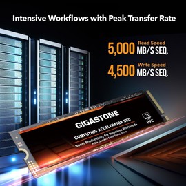 Gigastone HPC Computing M.2 SSD 1TB (2-Pack) PCIe 4.0 NVMe SSD 5,000MB/s Host Memory Buffer Cache Accelerate Speed Coding Big Data Intensive Workloads, Internal Solid State Drive SLC Cache 3D NAND