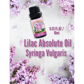 Lilac Absolute (Syringa Vulgaris) Oil 0.33 FL.OZ / 10ml