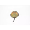 Deshen Du Horseshoe Crab Toy, Arthropods, Quality, Rubber, Educational, Model,