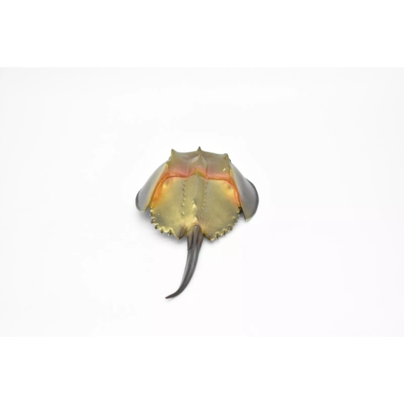 Deshen Du Horseshoe Crab Toy, Arthropods, Quality, Rubber, Educational, Model,