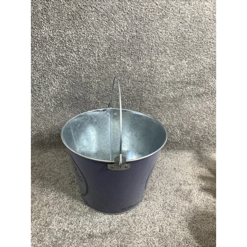 Coors Light Born In The Rockies Ice Beer Bucket