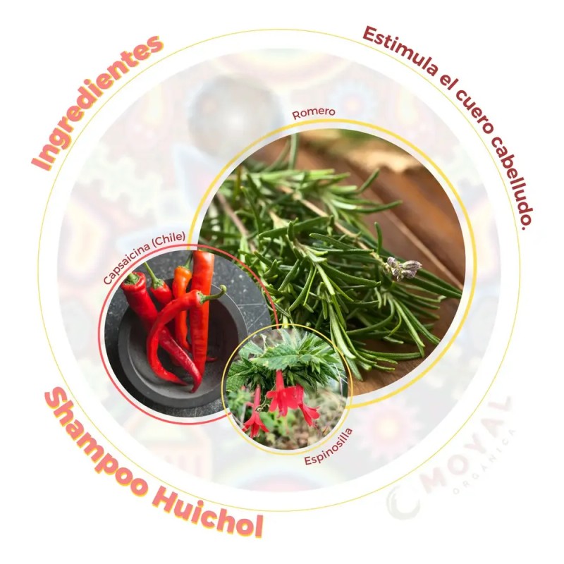 Shampoo Huichol De Chile, Romero Y Espinosilla 250 Ml