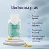 B-fit B Berberina Plus 60 Cápsulas 500mg Por Porción Sabor