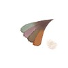 Paula Diem Couleur Color Blend Eyebrow Multi Palette [Eyebrow]
