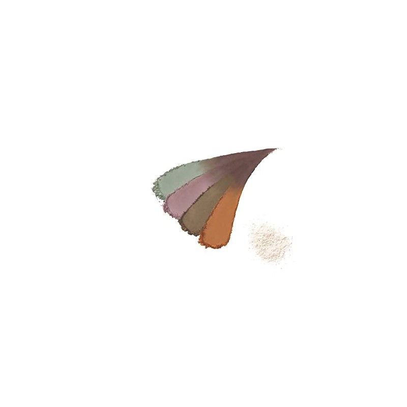 Paula Diem Couleur Color Blend Eyebrow Multi Palette [Eyebrow]