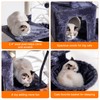 Heybly Cat Tree with Toy, Cat Tower condo for Indoor