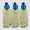 On the Body Pure Musk Body Wash, 3 bottles, 730g / 온더바디 퓨어머스크 바디워시, 3개, 730g
