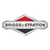 Briggs & Stratton Cap, Fuel Assy