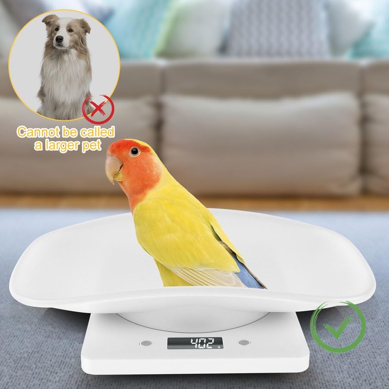 Digital Pet Scale 10kg/1g High Precision Small Pet Cat Weighing