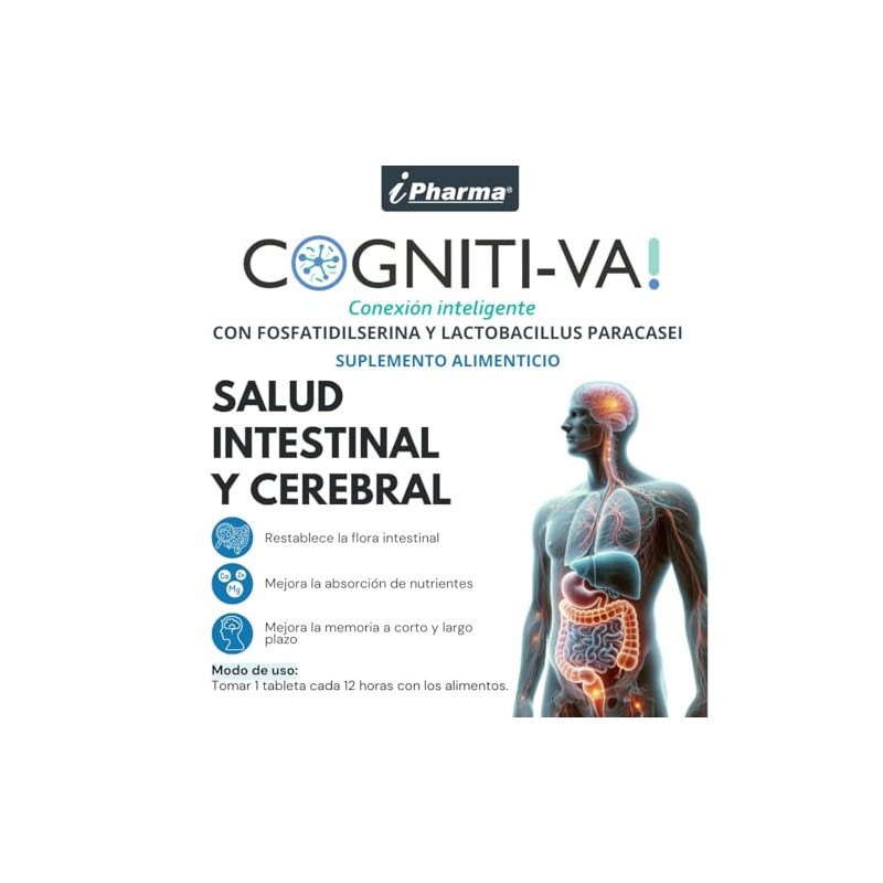Probiticos para la flora intestinal Fosfatidilserina mejora la concentracin Cognitiva