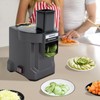 BANLICALI Vegetable Chopper 3 IN 1 Commercial Vegetable Processor Cutter
