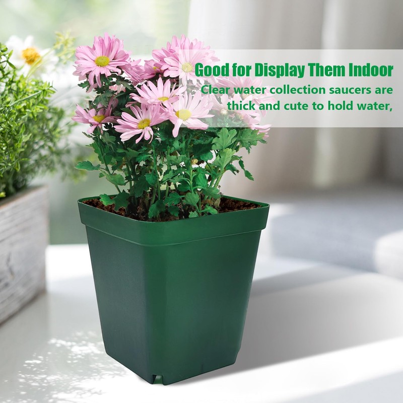 RooTrimmer Square Seedling Nursery Pots 3.15 Inches 100 Pcs for