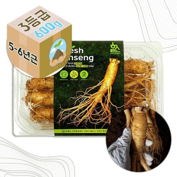 Goodsoil Korea Fresh Ginseng 5-6 Year Old No. 3 Gift