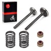 Intake Exhaust Valve Seal Spring Kit For Club Car Golf