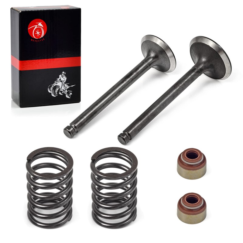 Intake Exhaust Valve Seal Spring Kit For Club Car Golf