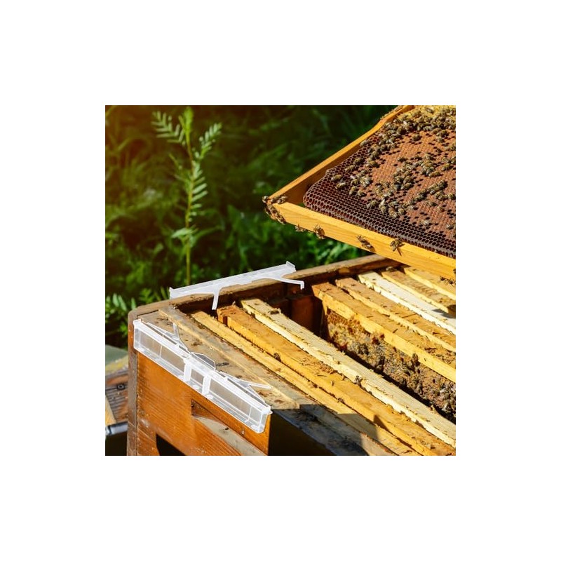 Qualirey 100 Pcs Plastic Hive Beetle Traps Small Beehive Beekeeping
