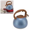 3 Liter Whistling Tea Kettle Stainless Steel Teapot with Handle