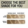 Schwarzkopf Keratin Color Permanent Hair Color, 10.1 Extra Light Ash