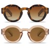 VANLINKER 2 Pack Vintage Round Polarized Sunglasses for Women Men