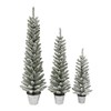Potted Flocked Pencil Trees in 3ft, 4ft & 5ft Sizes,