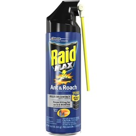 Raid Max Ant & Roach Aerosol Spray 14.50 oz (Pack of 6)