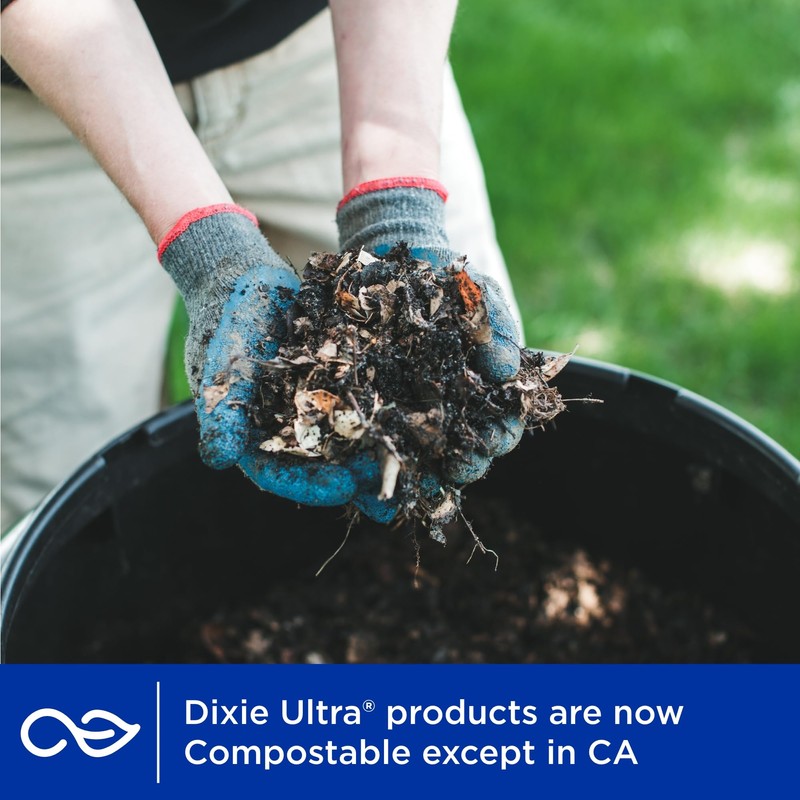 Dixie Ultra, Large Paper Plates, 10 Inch, 100 Count, 3X