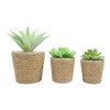 Ebros Gift Set Of 3 Realistic Artificial Botanica Plant Succulents