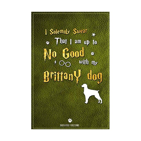 I Solemnly Swear That I am up to No Good