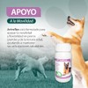 RUILAND Artoflex Combo Doble Suplemento para Perros 2 Packs 60