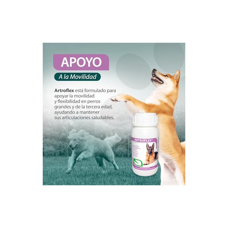 RUILAND Artoflex Combo Doble Suplemento para Perros 2 Packs 60