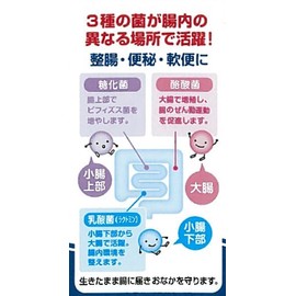 【指定医薬部外品】宇津救命丸 宇津こども整腸薬TP