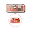 Clio Pro Eye Palette Air No. 11 Shopping Cheese Cat / 클리오 프로아이팔레트에어 11호 쇼핑하는 치즈냥