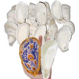 pengaihong 25 PCS Oyster Shells for Crafts 4"-5" Concave Natural Oyster Shells Bulk for Home Decor Vase Filler-Sea Shells Handmade Arts and Crafts for Crafting Christmas Ornaments, DIY Painting
