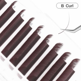 NATUHANA Colored Eyelash Extensions 0.07mm B Curl 8-14mm Mixed Tray Color Lash Supplies Individual Classic Colorful Lash Extensions Dark Brown Volume Lash Extensions (Burgundy;0.07 B, 8-14 MIX)
