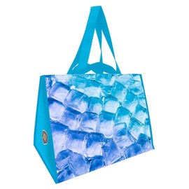 Berkley Jensen Insulated Shopping Bags Reusable Cooler Bag Grocery Travel Picnic Tote Large 2Pk