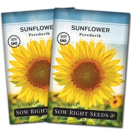Sow Right Seeds - Peredovik Sunflower Seeds for Planting - Non-GMO Heirloom Packet with Instructions for Growing - Russian Black Sun Flower - Great for Wildlife and Sunflower Oil - Annual Blooms (2)