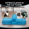 PetBuds 3-Way Collapsible Cat Tunnel Toy, Interactive Cat Tunnel for