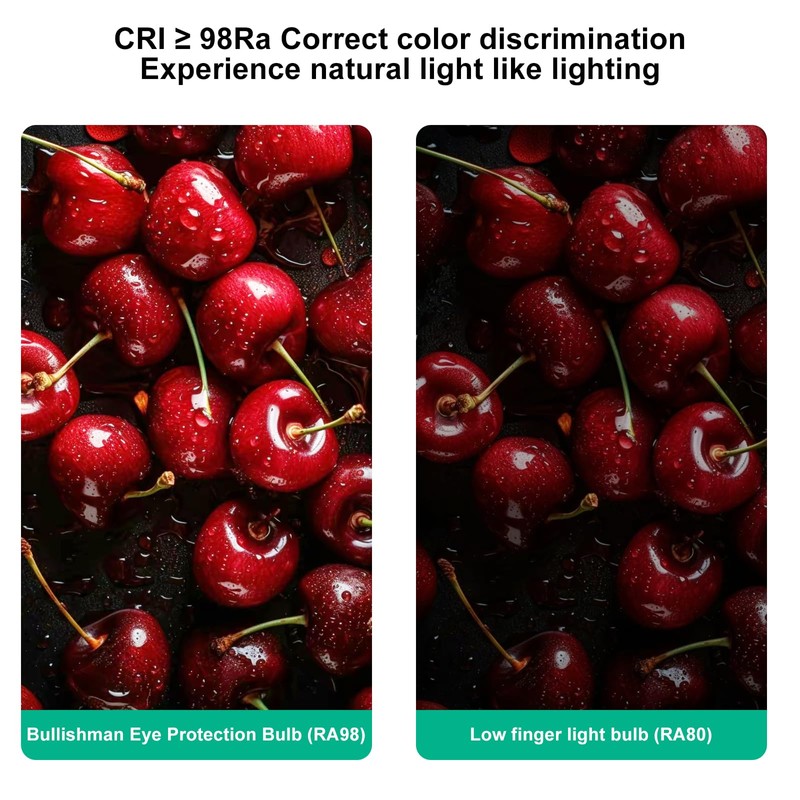 Full Spectrum Sun Light Bulb - A19 9W, Boosts Energy,