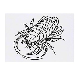'Lobster Crustacean' Temporary Tattoo - Water Resistant, Skin-Safe, Non-Toxic Transfer (TO00068797)