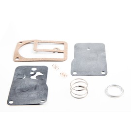 Genuine Briggs & Stratton 393397 Fuel Pump Kit