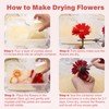 LotFancy LotFancy Silica Gel Flower Drying, 10 LBS Color Indicating