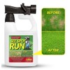 See Spot Run Lawn Protection Concentrate – 32 fl oz