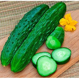 FUN AND GROW SEEDS: Seeds Self-Pollinated Cucumber Zozula 40 Days for Pickling Indoor Non GMO Hybrid