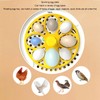 Mini Egg Incubator, Transparent Lid Design, Small Poultry Incubator, High