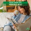 Saint Gottard Lemon Lime Ginger & Mint Herbal Tea –