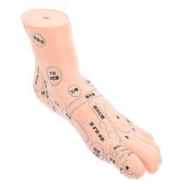 ORFOFE 19CM Foot Massage Acupoint Model Reflexology Teaching Tool Foot Reflection Zone Display for Acupressure Therapy and Massage Practice